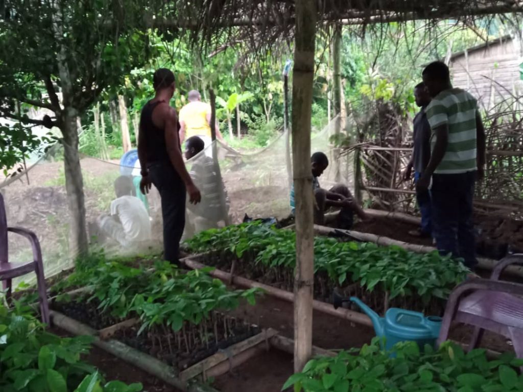 Community Development in Cameroon
